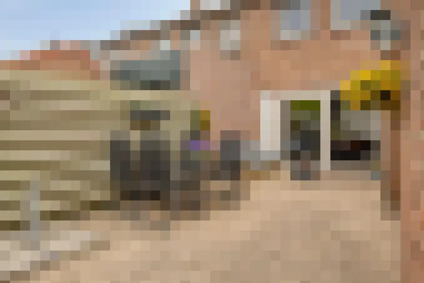 Irenestraat 26 Terneuzen thumbnail 28