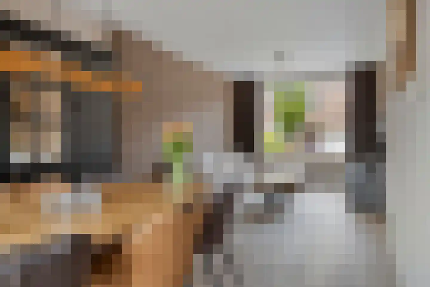Irenestraat 26 Terneuzen thumbnail 4