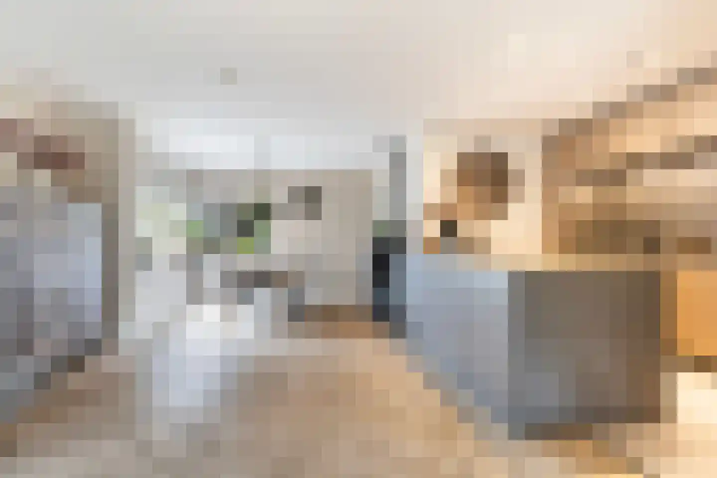 Irenestraat 27 Buitenpost thumbnail 10