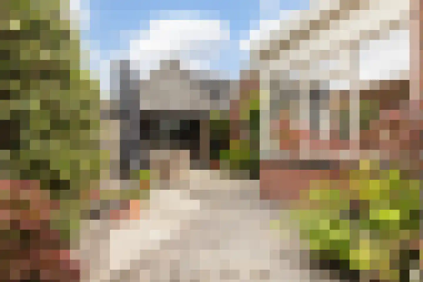 Irenestraat 27 Buitenpost thumbnail 18