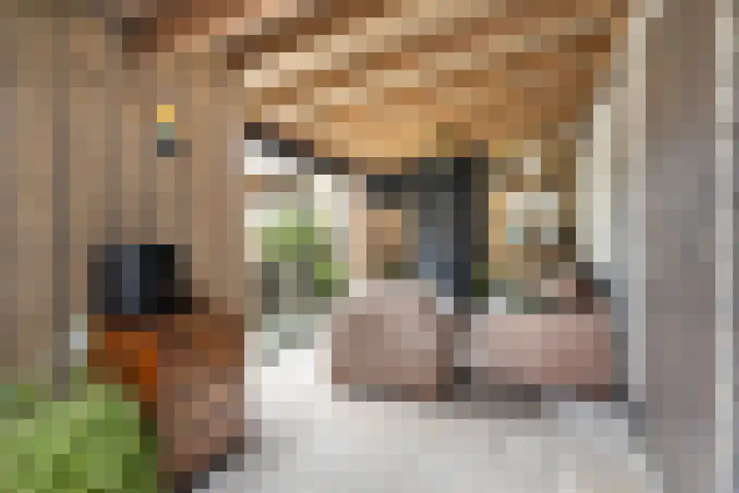 Irenestraat 27 Buitenpost thumbnail 20