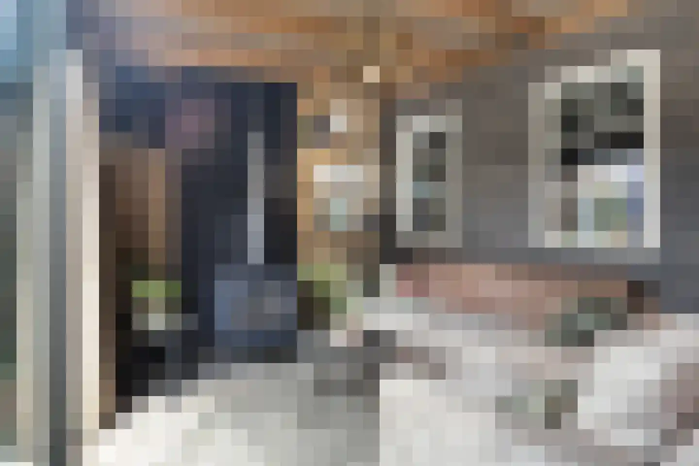 Irenestraat 27 Buitenpost thumbnail 21