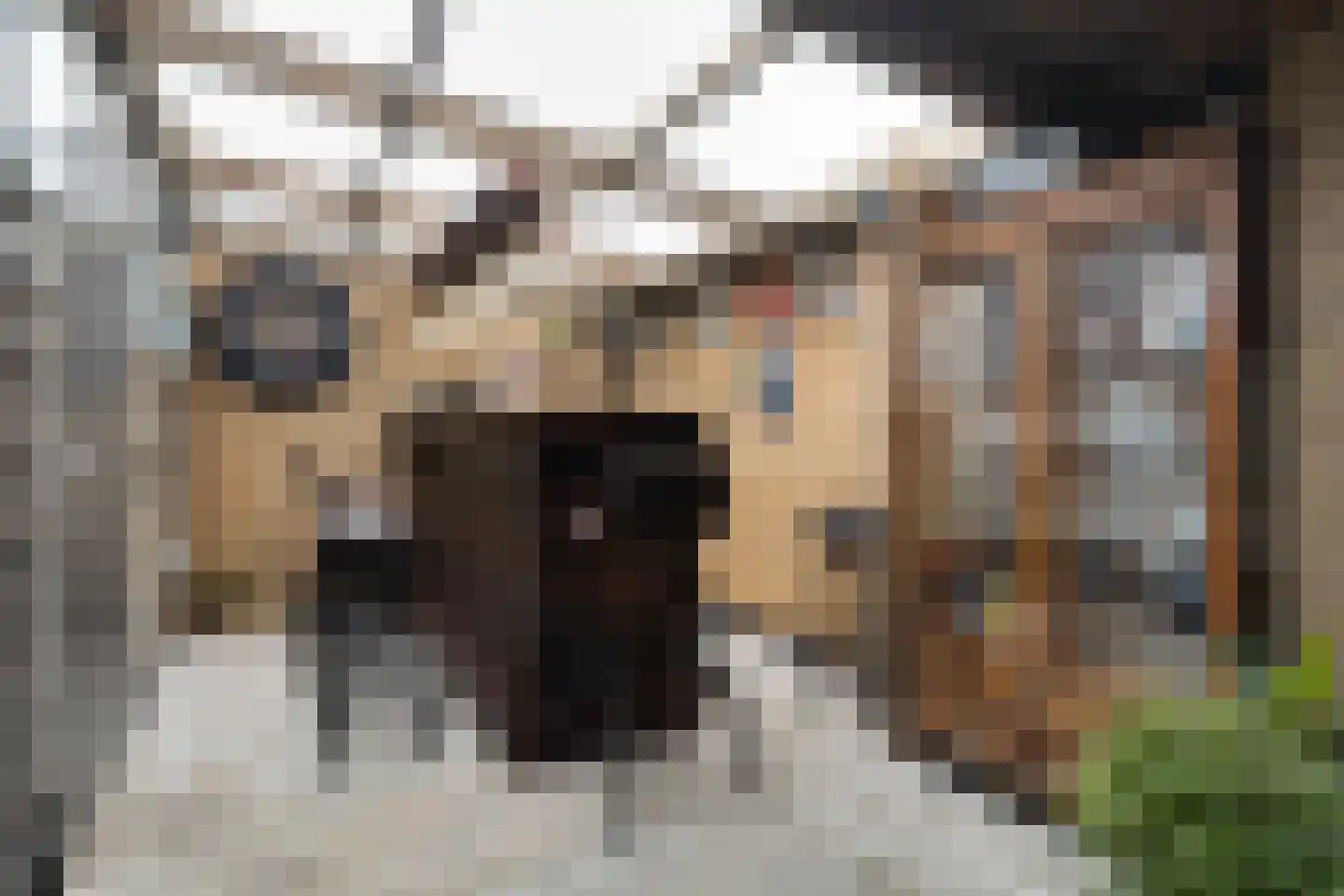 Irenestraat 27 Buitenpost thumbnail 23