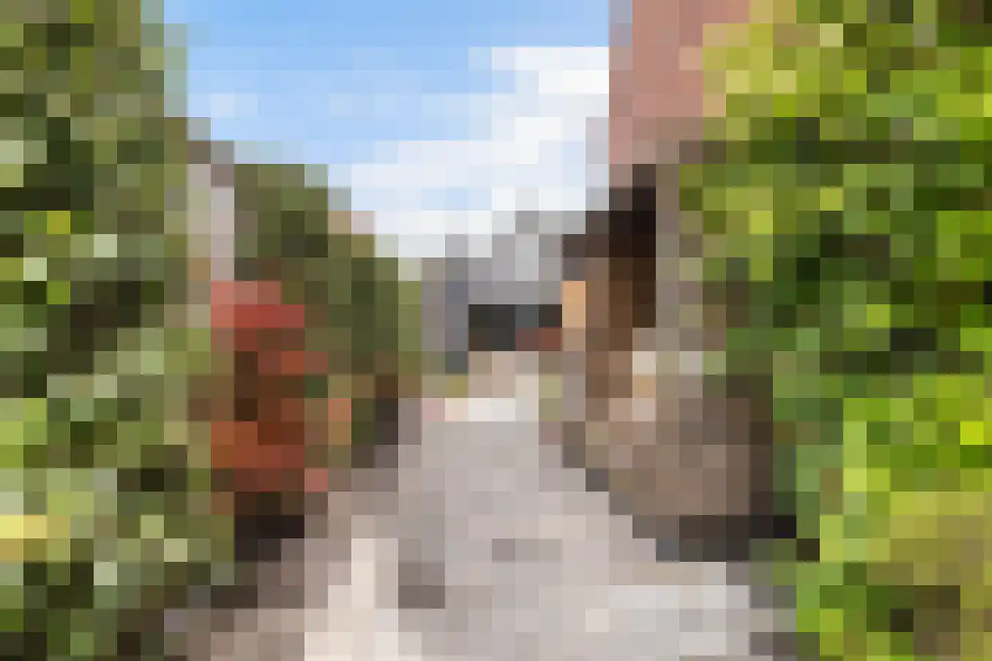 Irenestraat 27 Buitenpost thumbnail 25