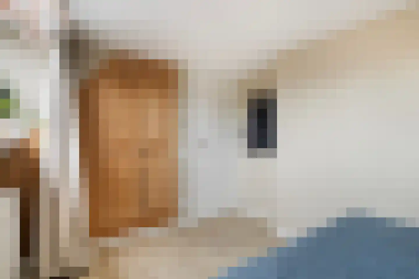 Irenestraat 27 Buitenpost thumbnail 31