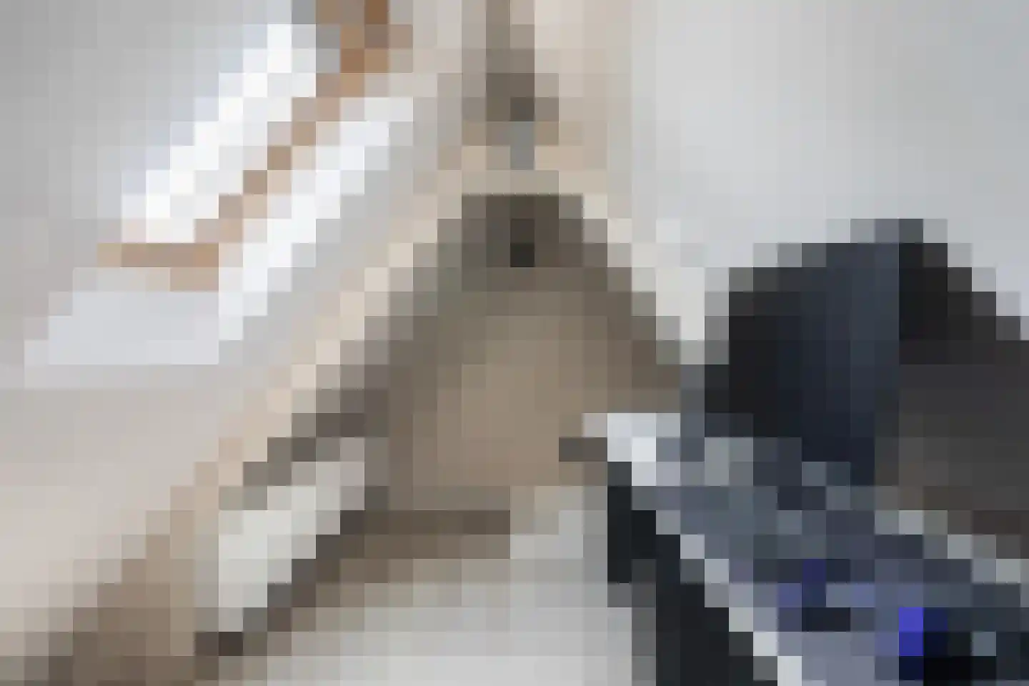 Irenestraat 27 Buitenpost thumbnail 37