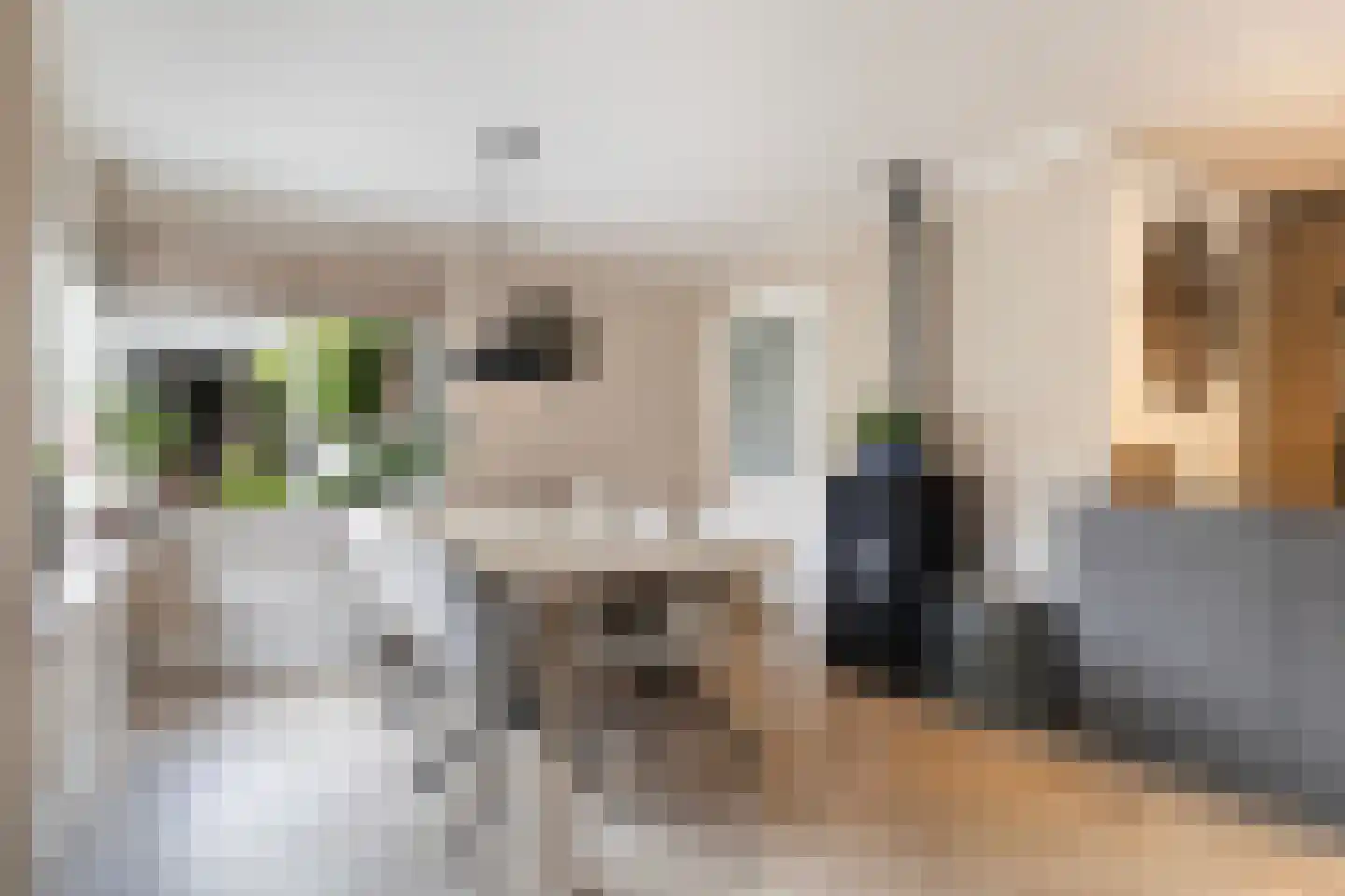 Irenestraat 27 Buitenpost thumbnail 9