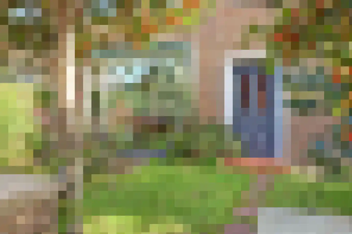 Irenestraat 27 Poeldijk thumbnail 12