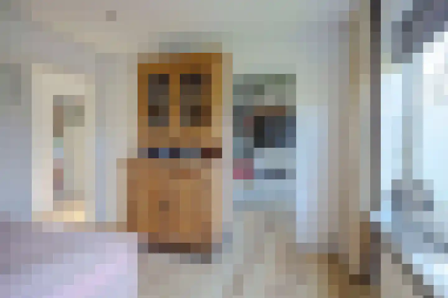 Irenestraat 27 Poeldijk thumbnail 34