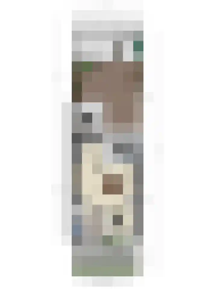 Irenestraat 27 Veldhoven thumbnail 31