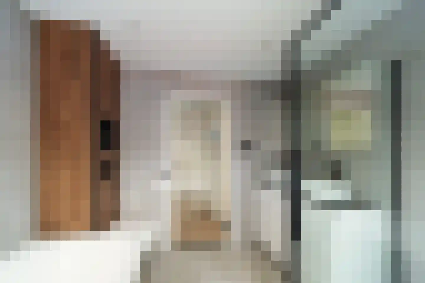 Irenestraat 28 Wateringen thumbnail 19