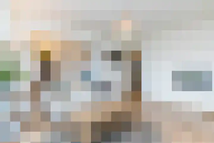 Irenestraat 29 Beek thumbnail 21