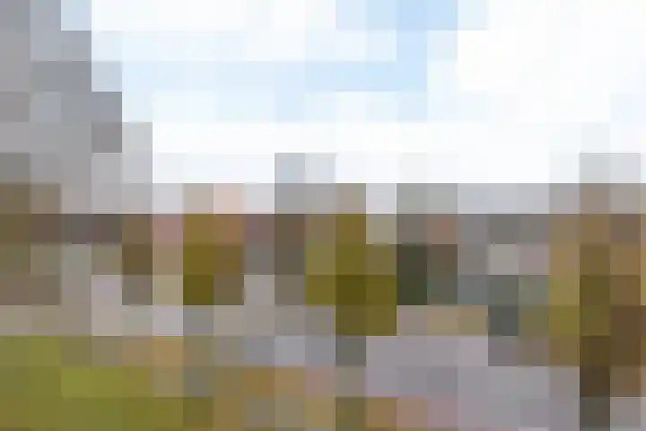 Irenestraat 29 Beek thumbnail 34