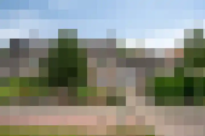 Irenestraat 29 Haps thumbnail 6