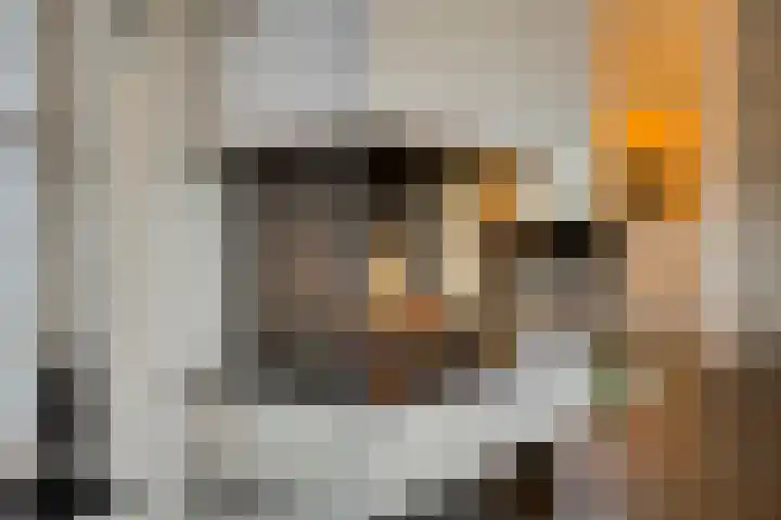 Irenestraat 3 Nederweert thumbnail 13