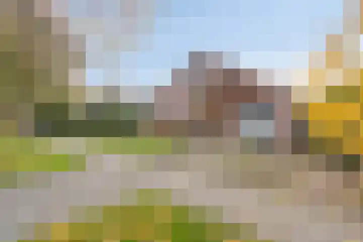 Irenestraat 3 Nederweert thumbnail 4