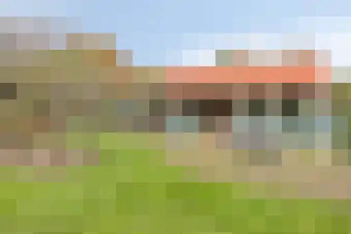 Irenestraat 3 Nederweert thumbnail 41