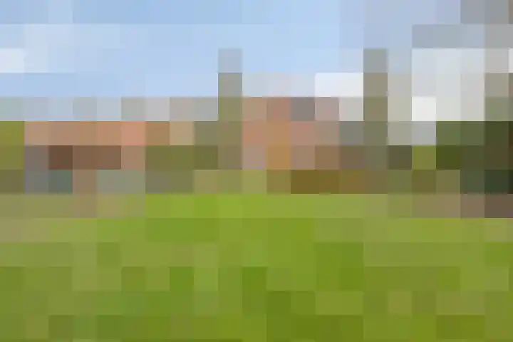 Irenestraat 3 Nederweert thumbnail 42
