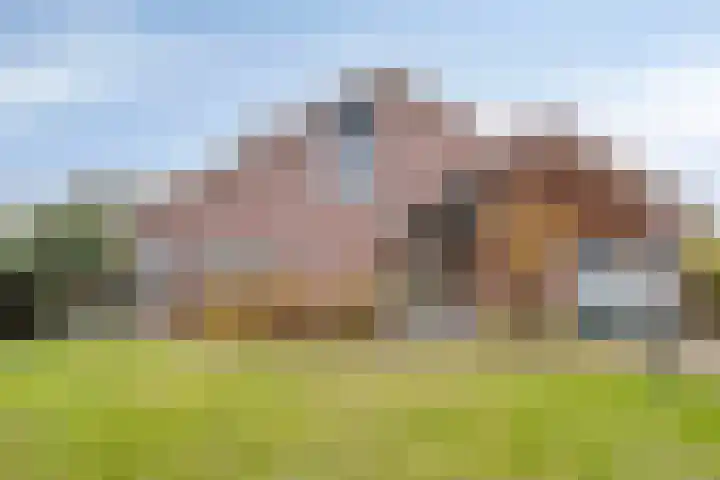 Irenestraat 3 Nederweert thumbnail 5