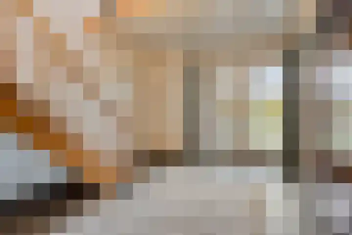 Irenestraat 3 Nederweert thumbnail 6