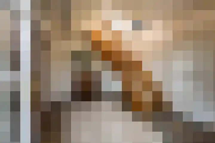 Irenestraat 3 Nederweert thumbnail 7