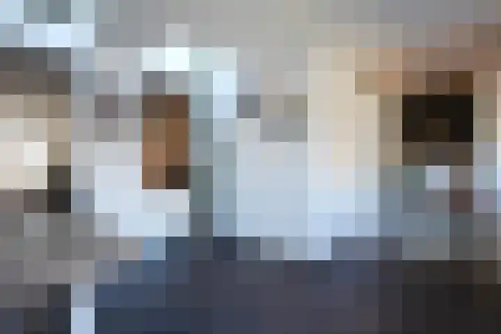 Irenestraat 3 Puth thumbnail 11