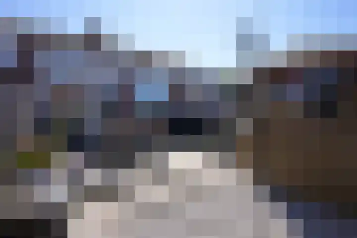 Irenestraat 3 Puth thumbnail 21