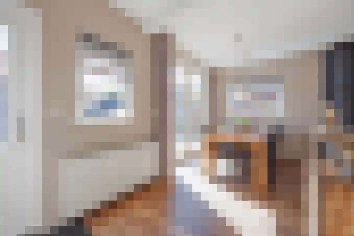 Irenestraat 3 Raamsdonksveer thumbnail 16