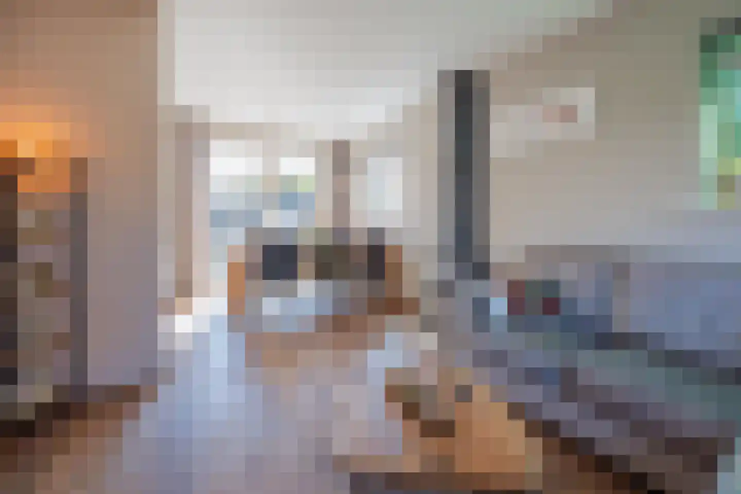 Irenestraat 3 Raamsdonksveer thumbnail 20