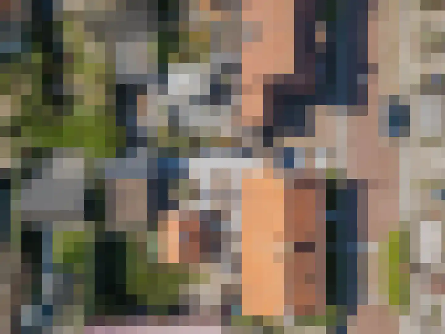 Irenestraat 3 Raamsdonksveer thumbnail 38