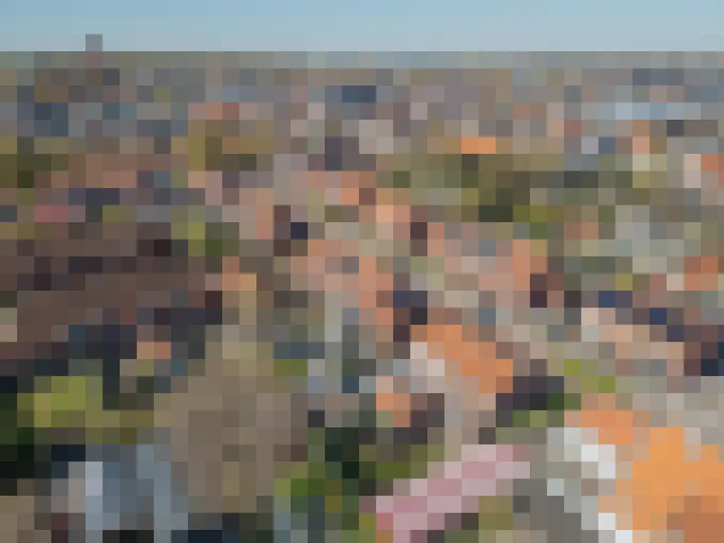 Irenestraat 3 Raamsdonksveer thumbnail 40