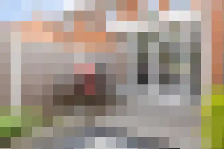 Irenestraat 3 Schagen thumbnail 37