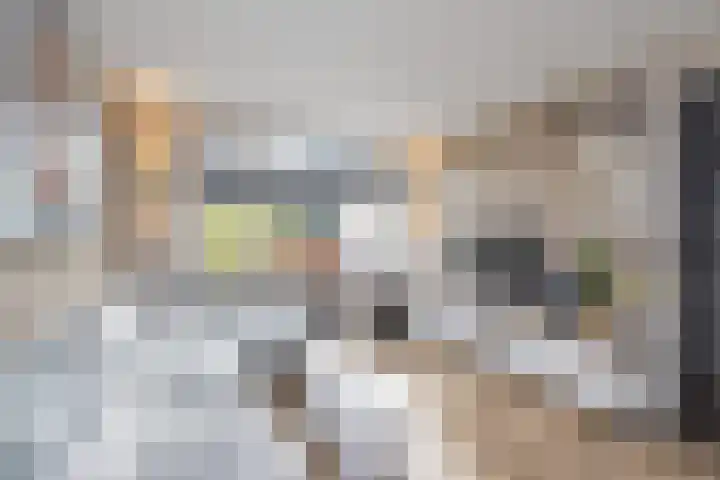 Irenestraat 3 Schagen thumbnail 9