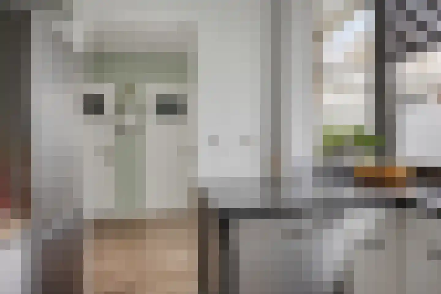 Irenestraat 30 Lekkerkerk thumbnail 11