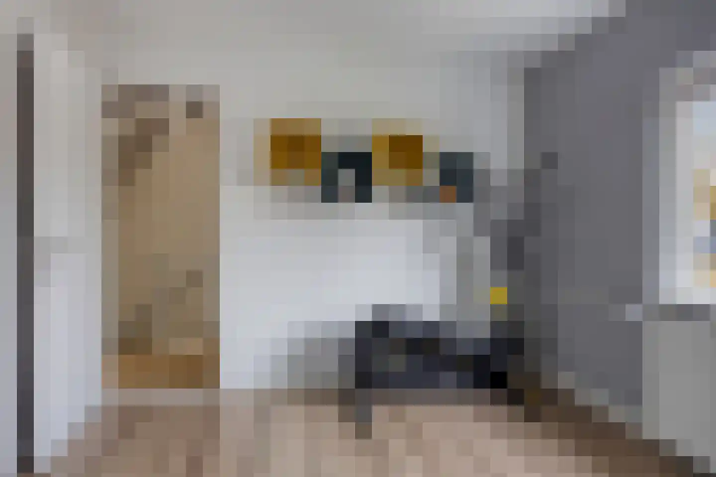 Irenestraat 30 Lekkerkerk thumbnail 24