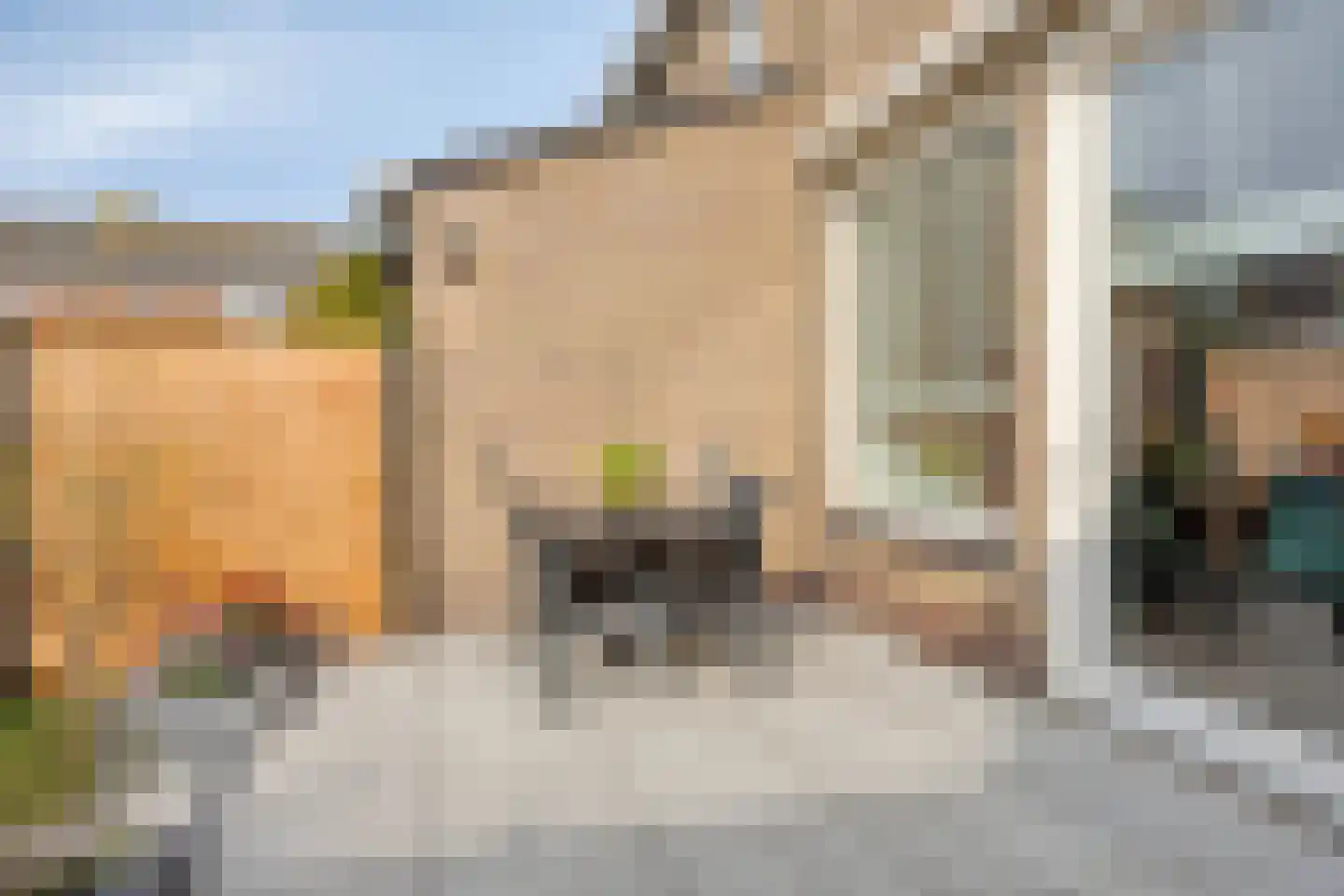 Irenestraat 30 Lekkerkerk thumbnail 34