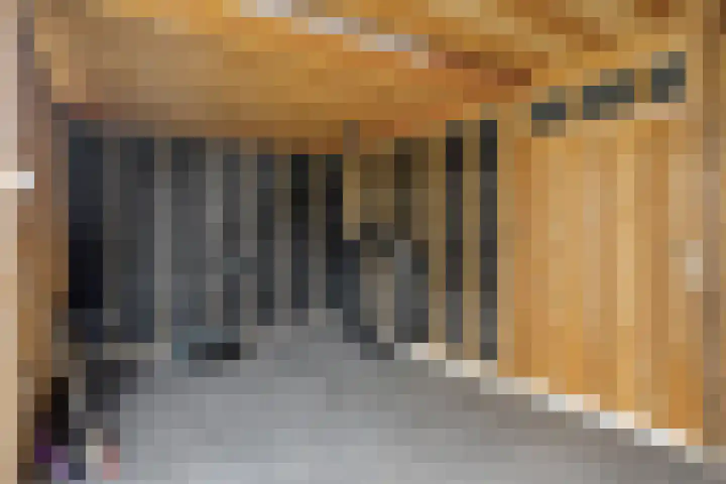 Irenestraat 30 Lekkerkerk thumbnail 35