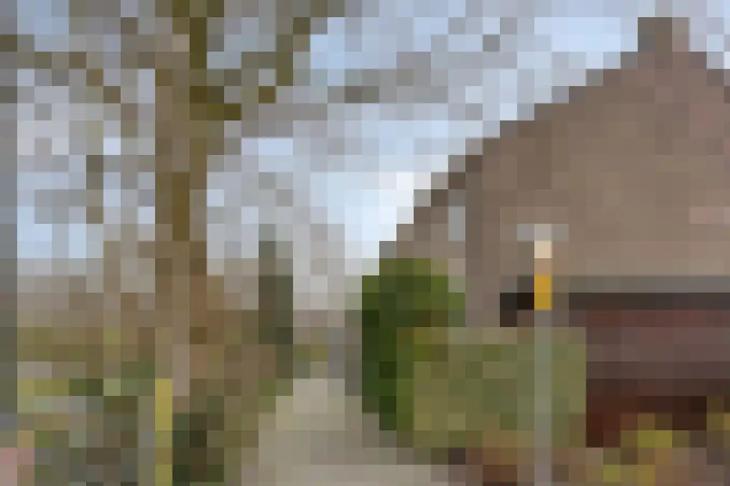 Irenestraat 30 Lekkerkerk thumbnail 39