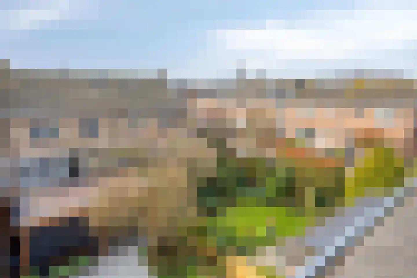 Irenestraat 30 Lekkerkerk thumbnail 47