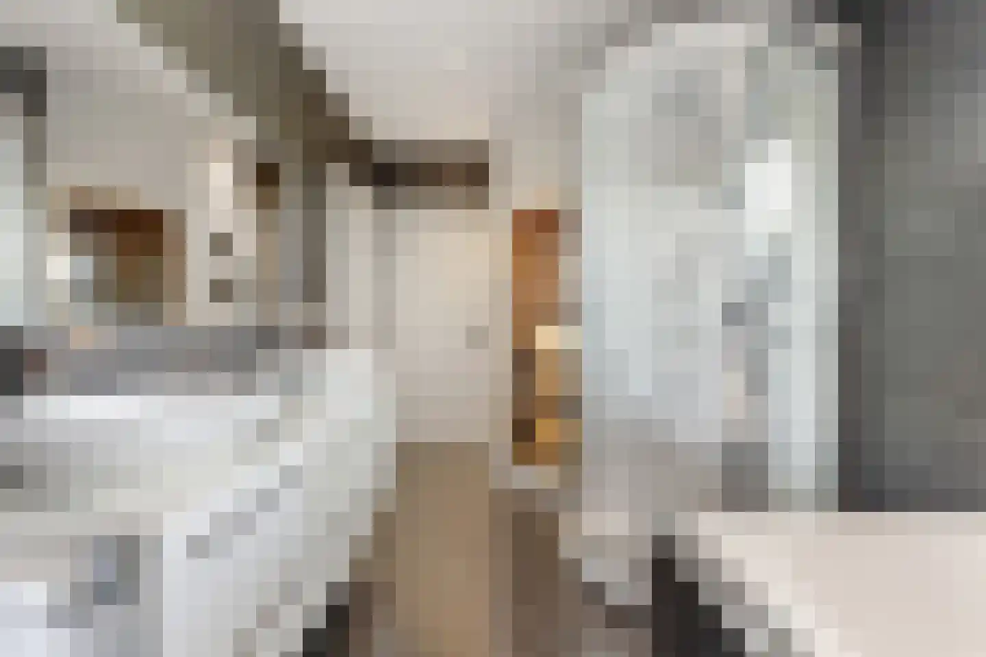 Irenestraat 31 C Breda thumbnail 25