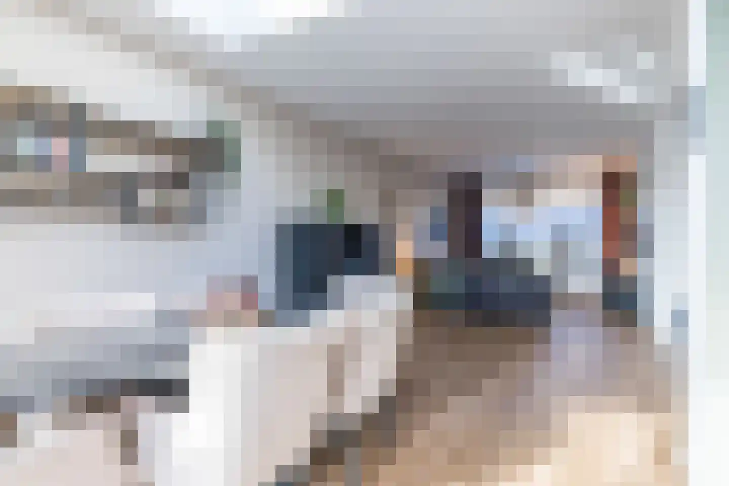 Irenestraat 31 Hulsberg thumbnail 11