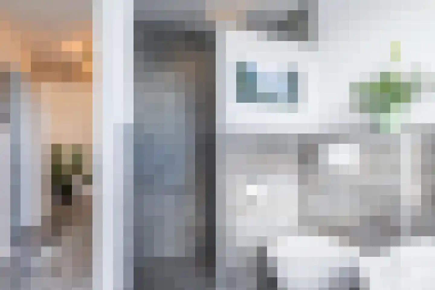 Irenestraat 31 Hulsberg thumbnail 32