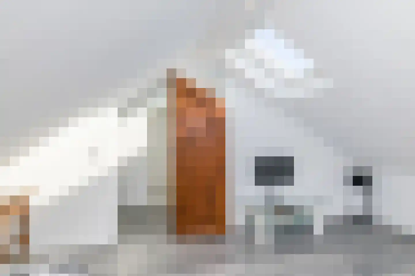 Irenestraat 31 Hulsberg thumbnail 35