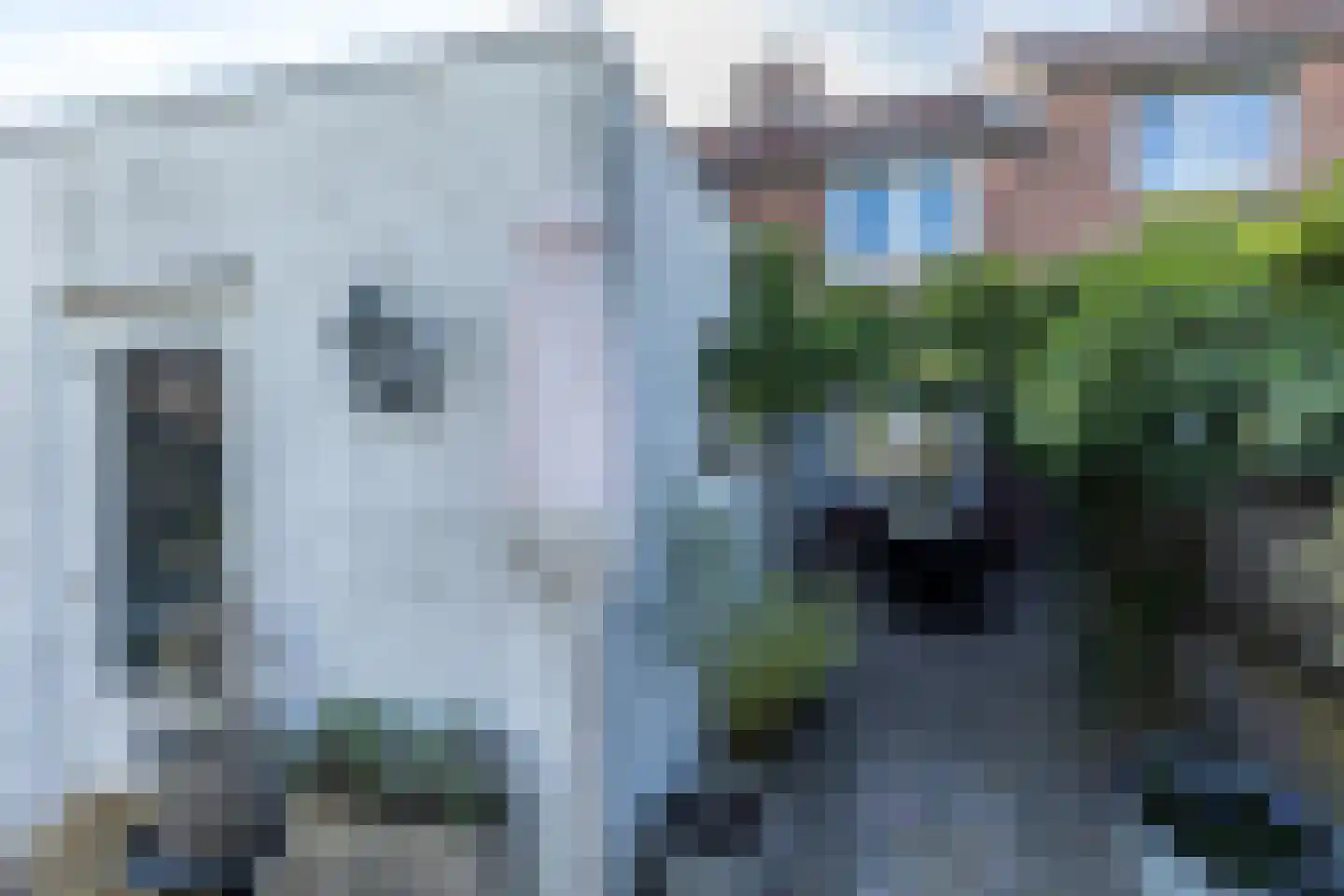 Irenestraat 31 Puth thumbnail 30