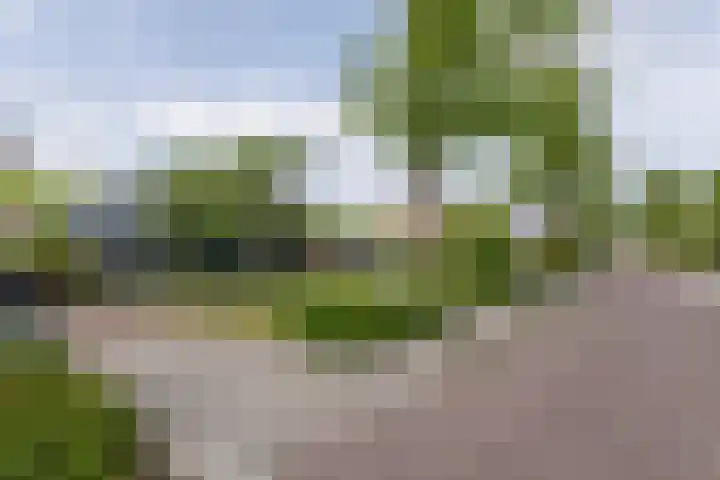 Irenestraat 32 Buitenpost thumbnail 10