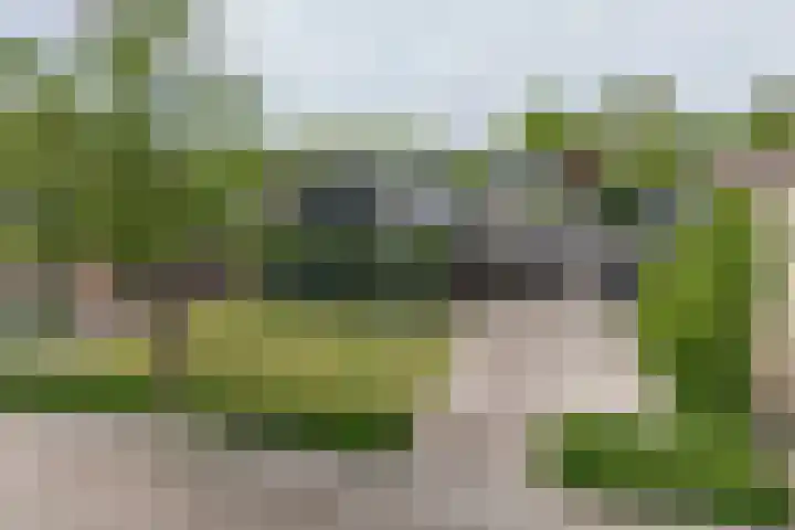 Irenestraat 32 Buitenpost thumbnail 16