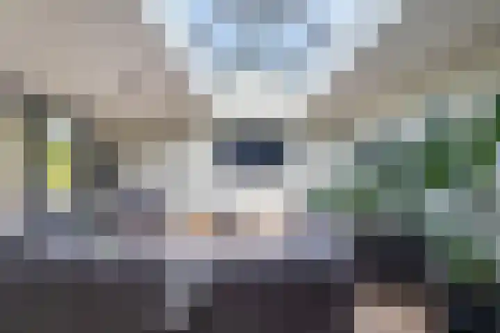 Irenestraat 32 Buitenpost thumbnail 31