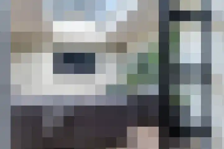 Irenestraat 32 Buitenpost thumbnail 32