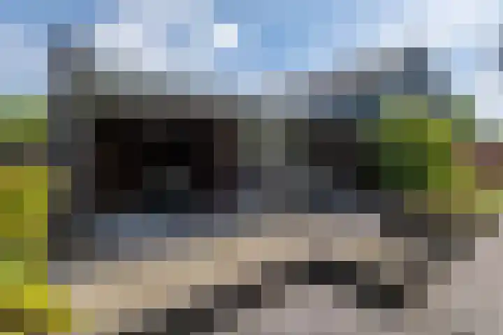 Irenestraat 32 Buitenpost thumbnail 5