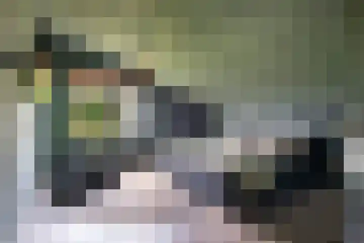 Irenestraat 32 Buitenpost thumbnail 69